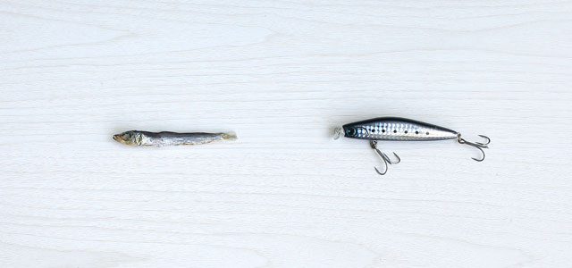 餌釣りとの違い