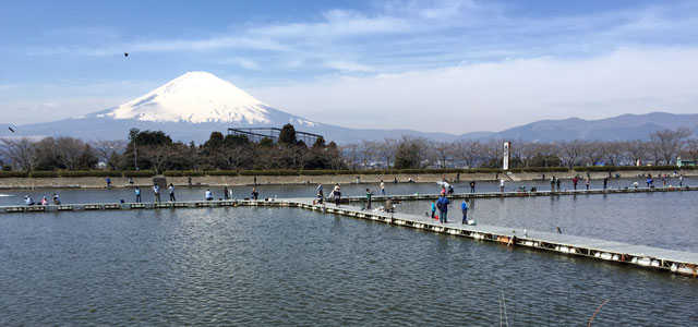 管理釣り場（エリア）