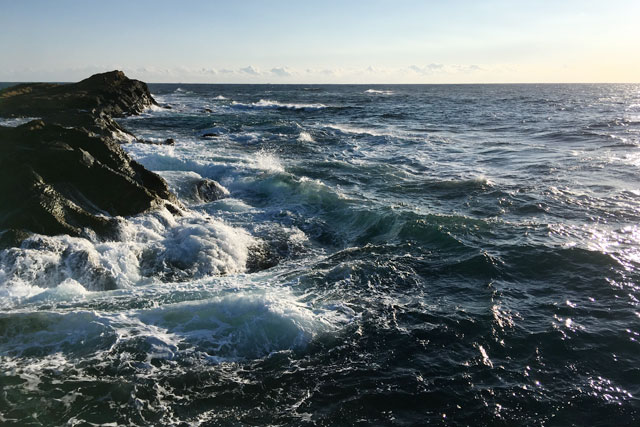 房総半島 19年1月中旬 南房総でヒラスズキ 富津岬でマルスズキを狙ってきました ルアーフィッシング情報サイト Luretist ルアーティスト スタッフブログ