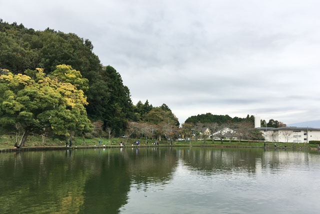 東山湖フィッシングエリア トラウト 18年11月上旬 御殿場にある管理釣り場 東山湖フィッシングエリア さんでトラウトエリアフィッシング ルアーフィッシング情報サイト Luretist ルアーティスト スタッフブログ