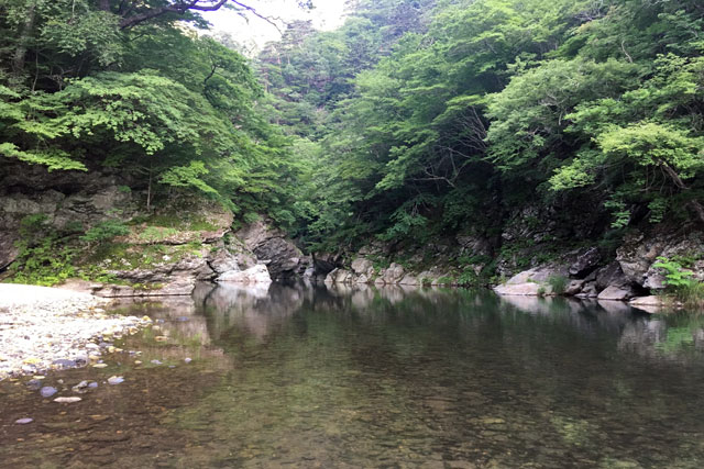 箒川渓流トラウト 18年7月中旬 連日の猛暑から涼を求めて自然あふれる渓流でトラウトフィッシング ルアーフィッシング情報サイト Luretist ルアーティスト スタッフブログ