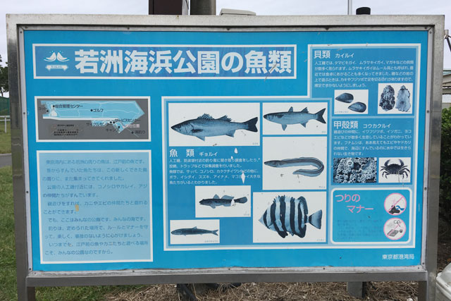 若洲海浜公園シーバス 18年10月中旬 東京都23区内で人気のレジャースポット若洲海浜公園 若洲公園 の人工磯でシーバスを狙ってきました ルアーフィッシング情報サイト Luretist ルアーティスト スタッフブログ