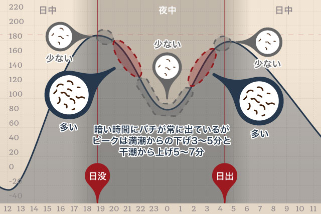 若洲海浜公園 東京湾湾奥運河バチ抜けシーバス 19年5月中旬 赤潮と場所問題 最近調子が良かったバチ抜けで返り討ちにあいました ルアーフィッシング情報サイト Luretist ルアーティスト スタッフブログ