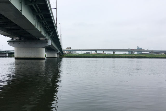 荒川シーバス 湾奥バチ抜けシーバス 19年6月上旬 梅雨入りして雨が続く今日このごろ 雨の合間を狙ってシーバス釣行して来ました ルアーフィッシング情報サイト Luretist ルアーティスト スタッフブログ