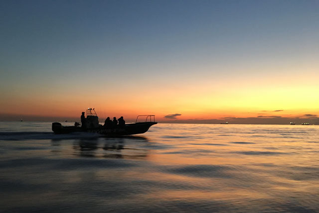 東京湾ボートシーバス 19年1月上旬 今年はじめの船釣りはアイランドクルーズさんでシーバスを狙ってきました ルアーフィッシング情報サイト Luretist ルアーティスト スタッフブログ