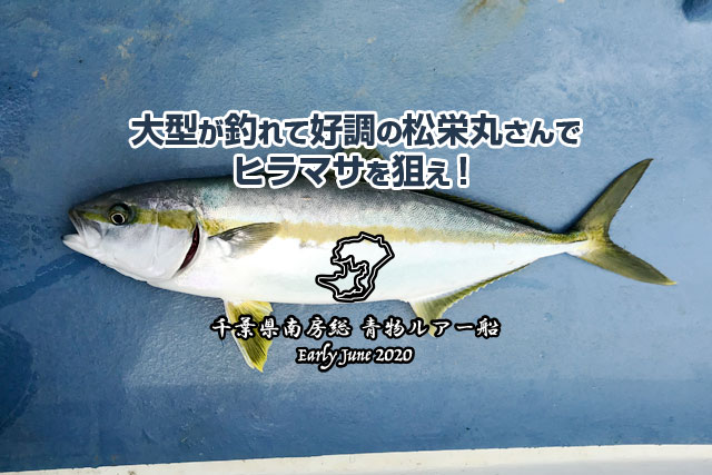 【南房総 ルアー船　2020年6月上旬】大型が釣れて好調の松栄丸さんでヒラマサを狙え！