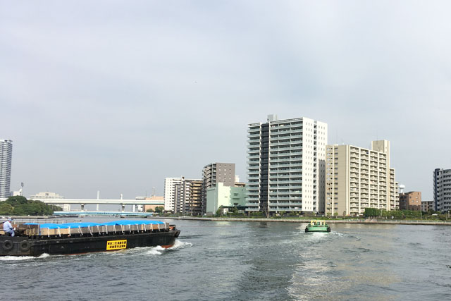 【東京湾湾奥運河バチ抜けシーバス　2019年5月上旬】GWの大潮のタイミングで豊洲運河でバチ抜けして来ました！